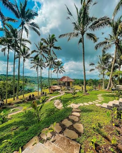 Jalak Bali Tingkih Kerep, Nyeduh Kopi & Katak Kopi, Private Driver Tour